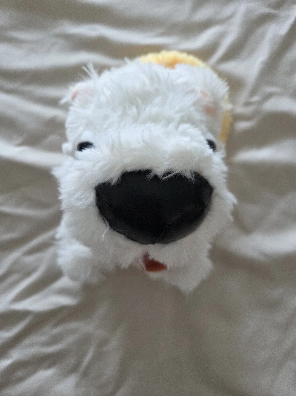 Artist Collection THE DOG AND FRIENDS | DOGGY OOTD | WESTIE NWT